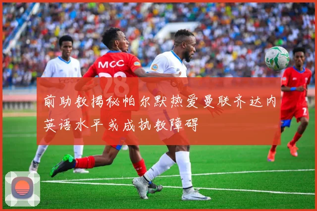 前助教揭秘帕尔默热爱曼联齐达内英语水平或成执教障碍