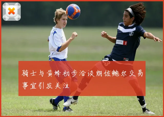 骑士与黄蜂初步洽谈朗佐鲍尔交易事宜引发关注